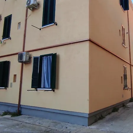 Petit Bijou شيفيتافيكْيا